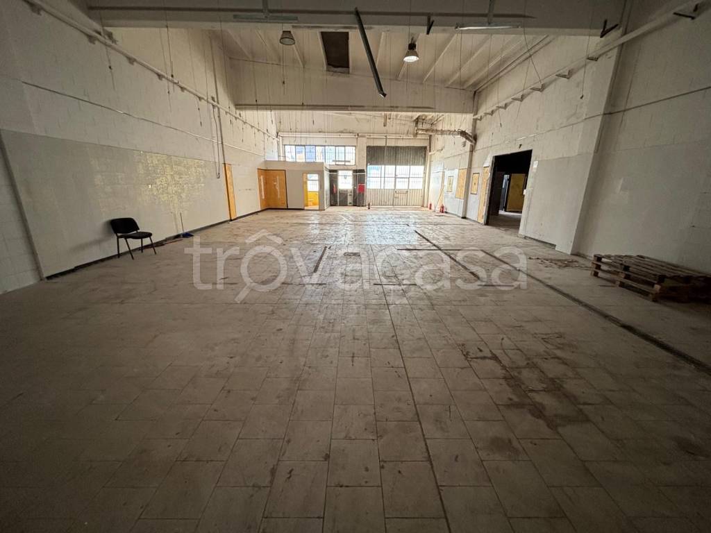 immagine annuncio 6 di 8