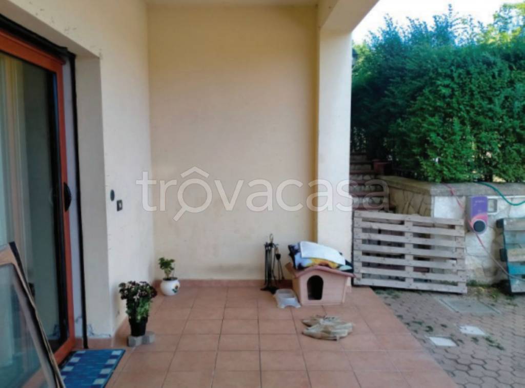 immagine annuncio 3 di 11