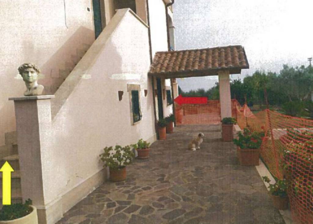 immagine annuncio 8 di 11