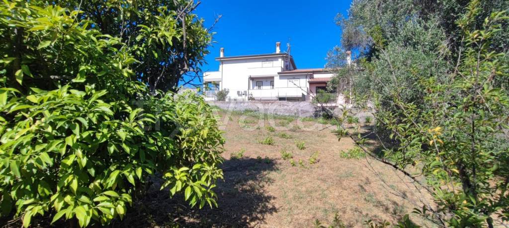 immagine annuncio 7 di 12