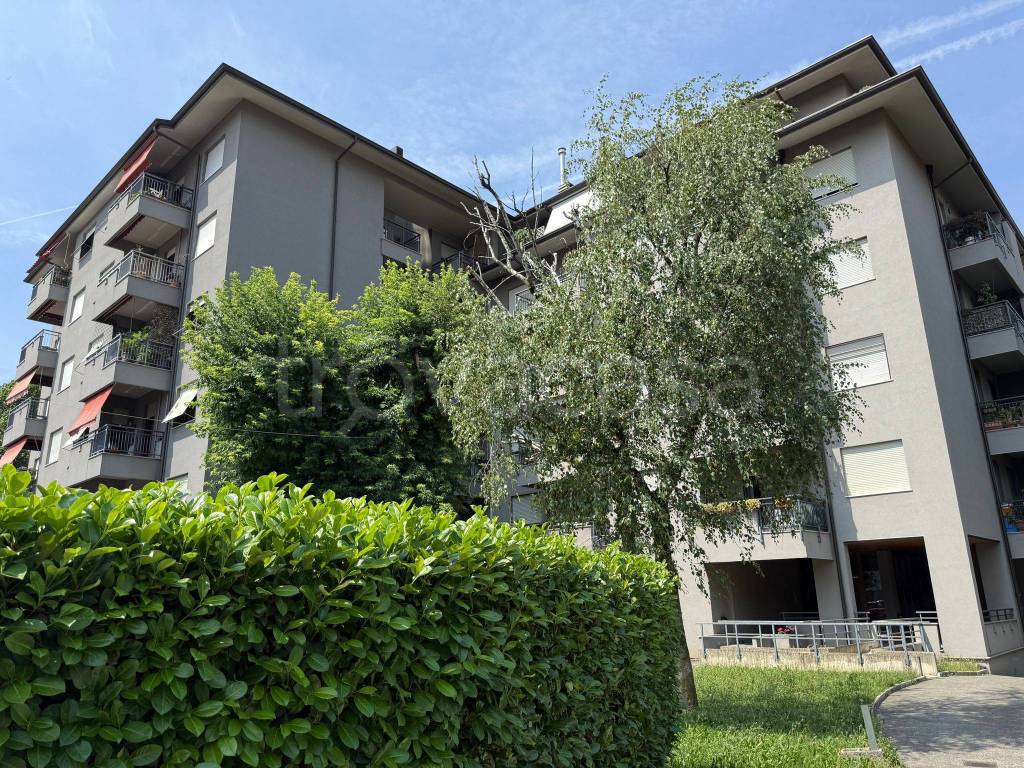 immagine annuncio 1 di 12