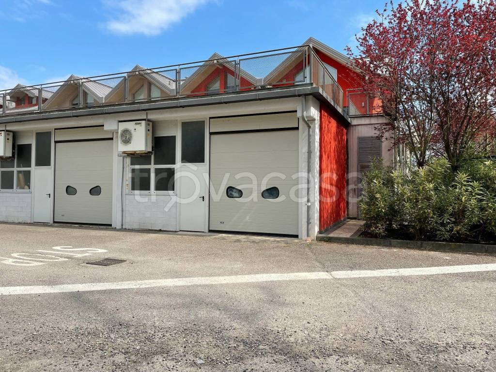 immagine annuncio 3 di 9