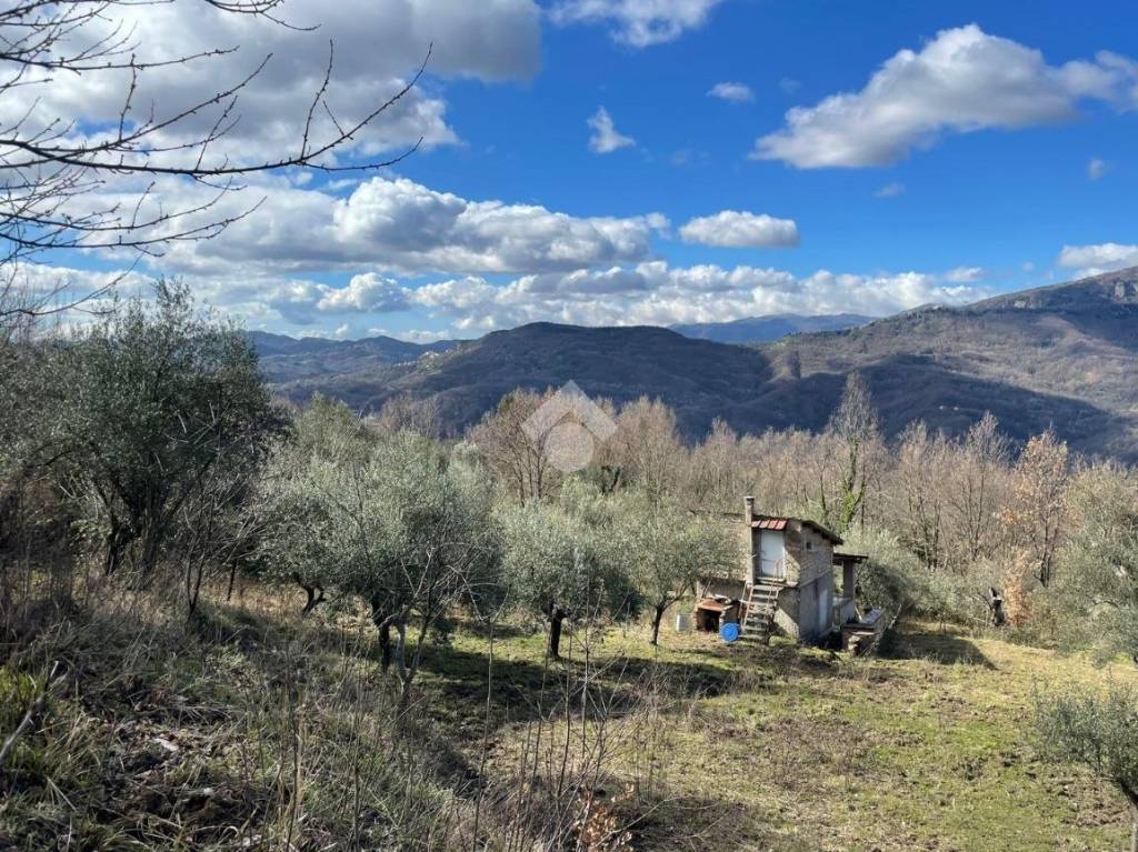 immagine annuncio 3 di 13
