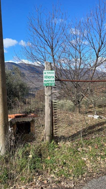 immagine annuncio 5 di 13