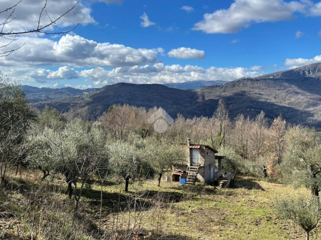 immagine annuncio 6 di 13
