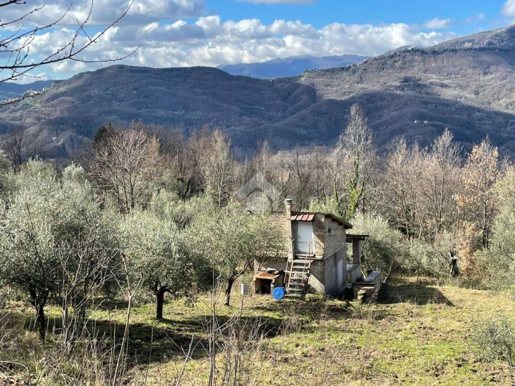 immagine annuncio 8 di 13