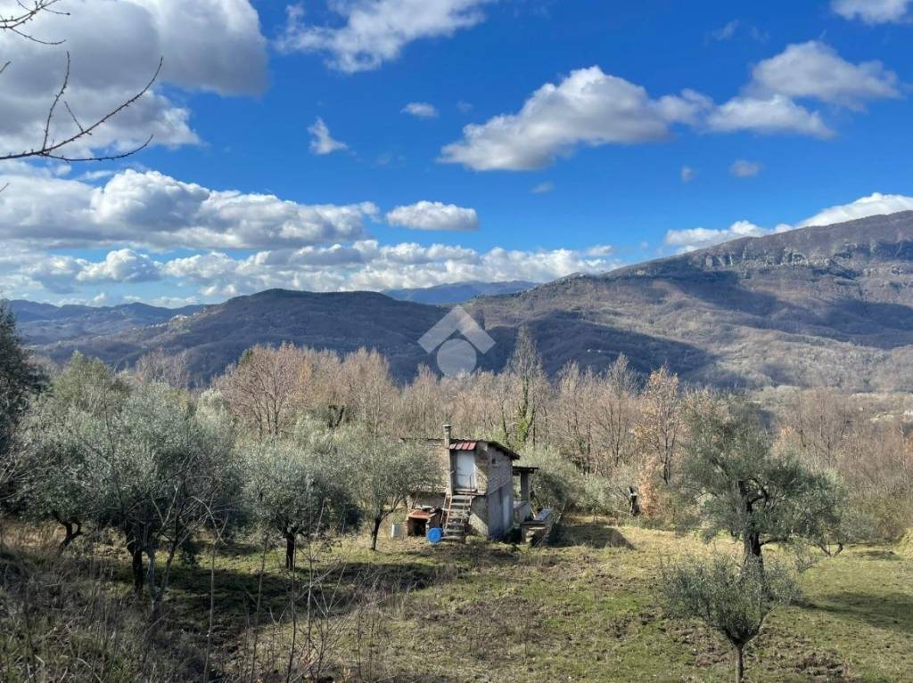 immagine annuncio 11 di 13