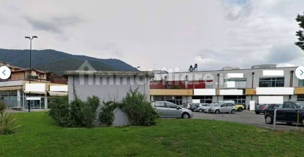 immagine annuncio 2 di 7