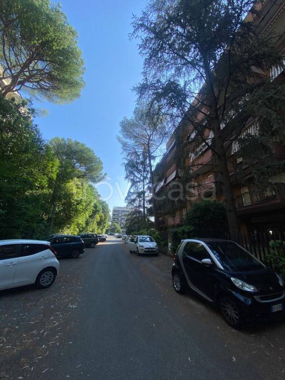 immagine annuncio 2 di 12