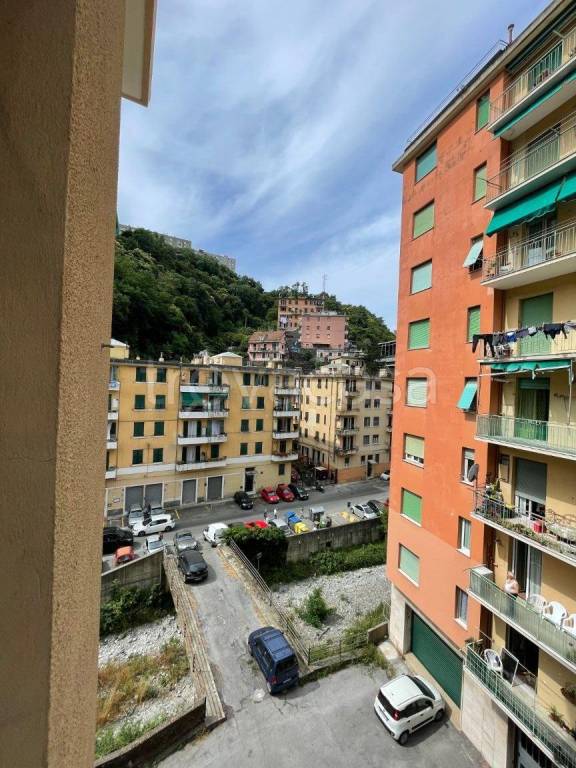 immagine annuncio 11 di 14