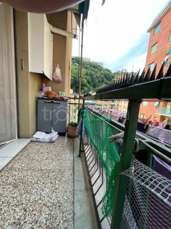 immagine annuncio 12 di 14
