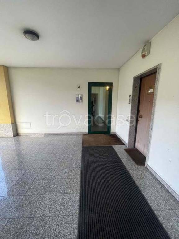 immagine annuncio 6 di 14