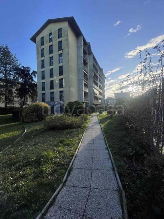 immagine annuncio 1 di 14