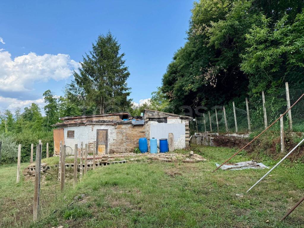 immagine annuncio 5 di 14
