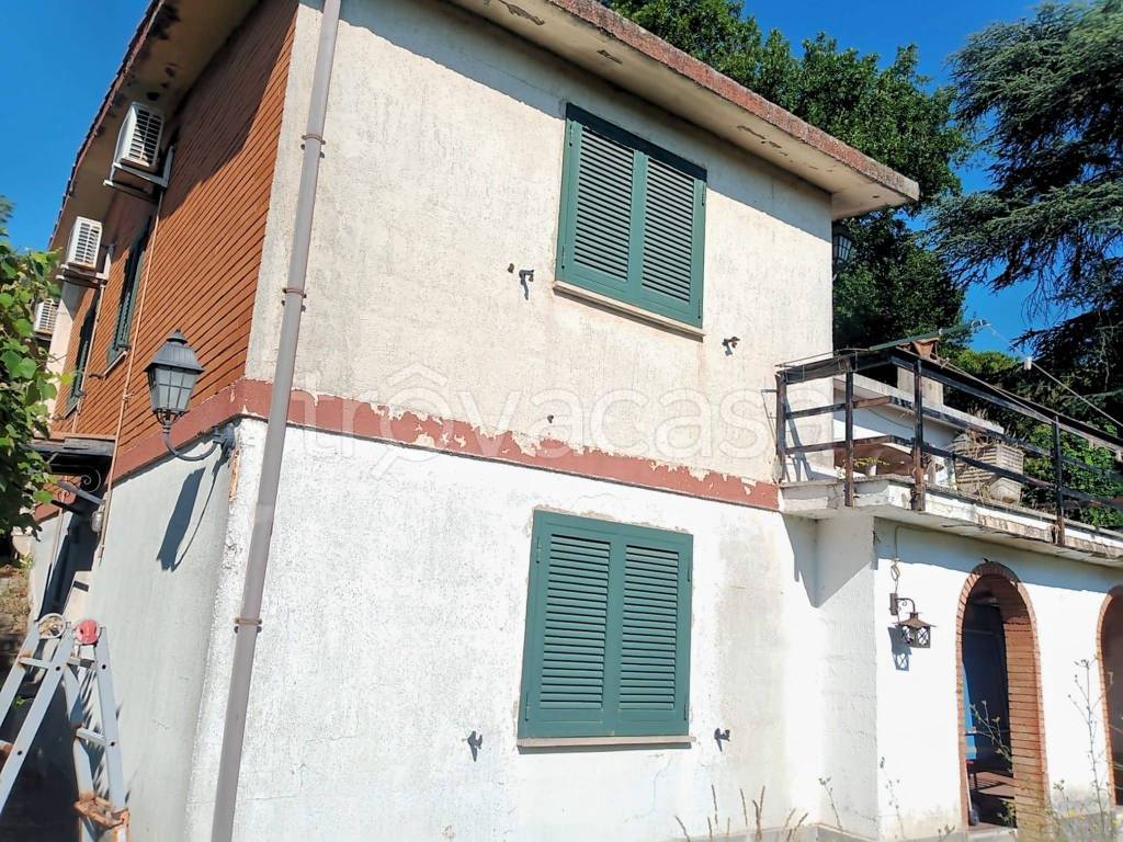 immagine annuncio 3 di 8