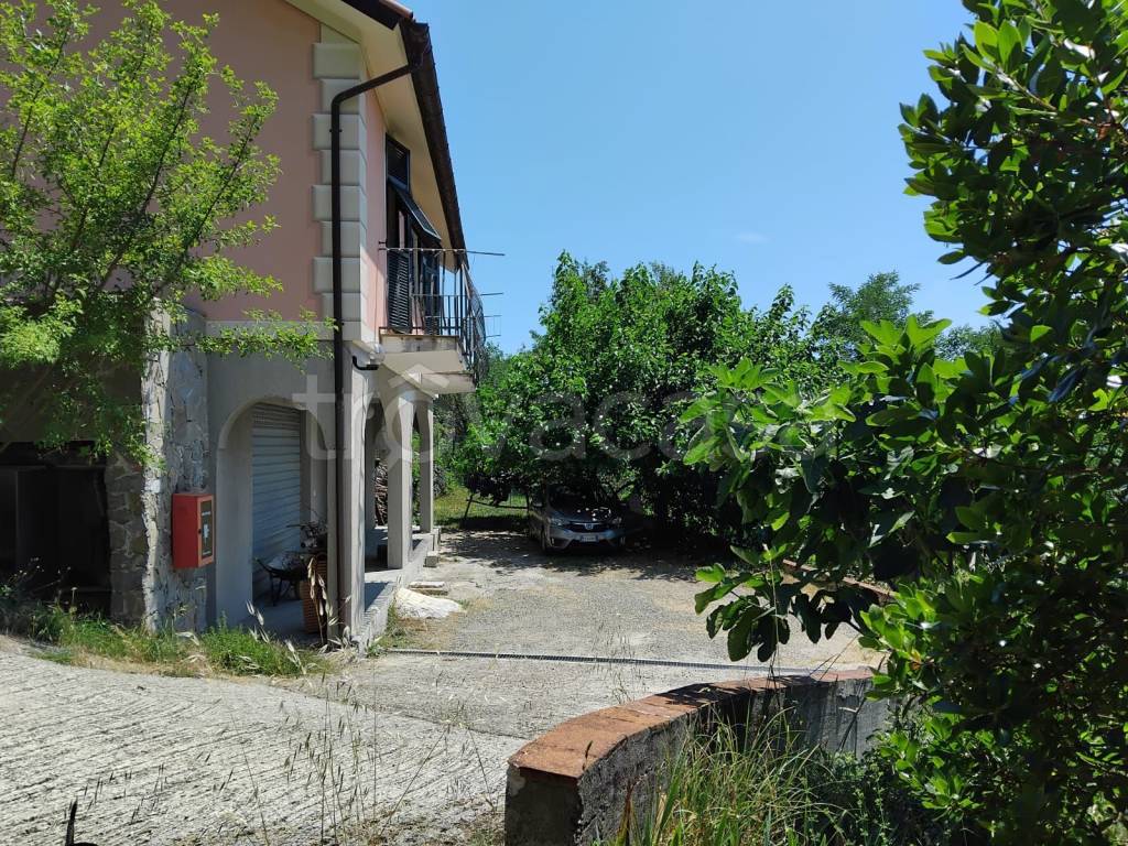 immagine annuncio 10 di 14