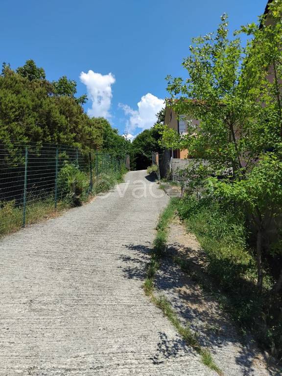 immagine annuncio 9 di 14