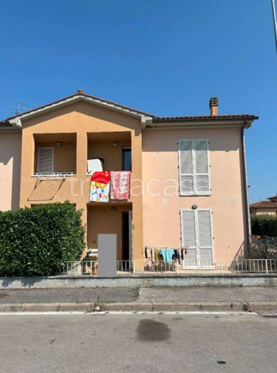 immagine annuncio 3 di 11