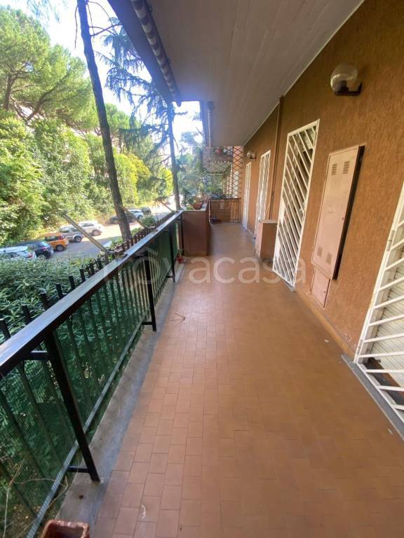 immagine annuncio 5 di 12