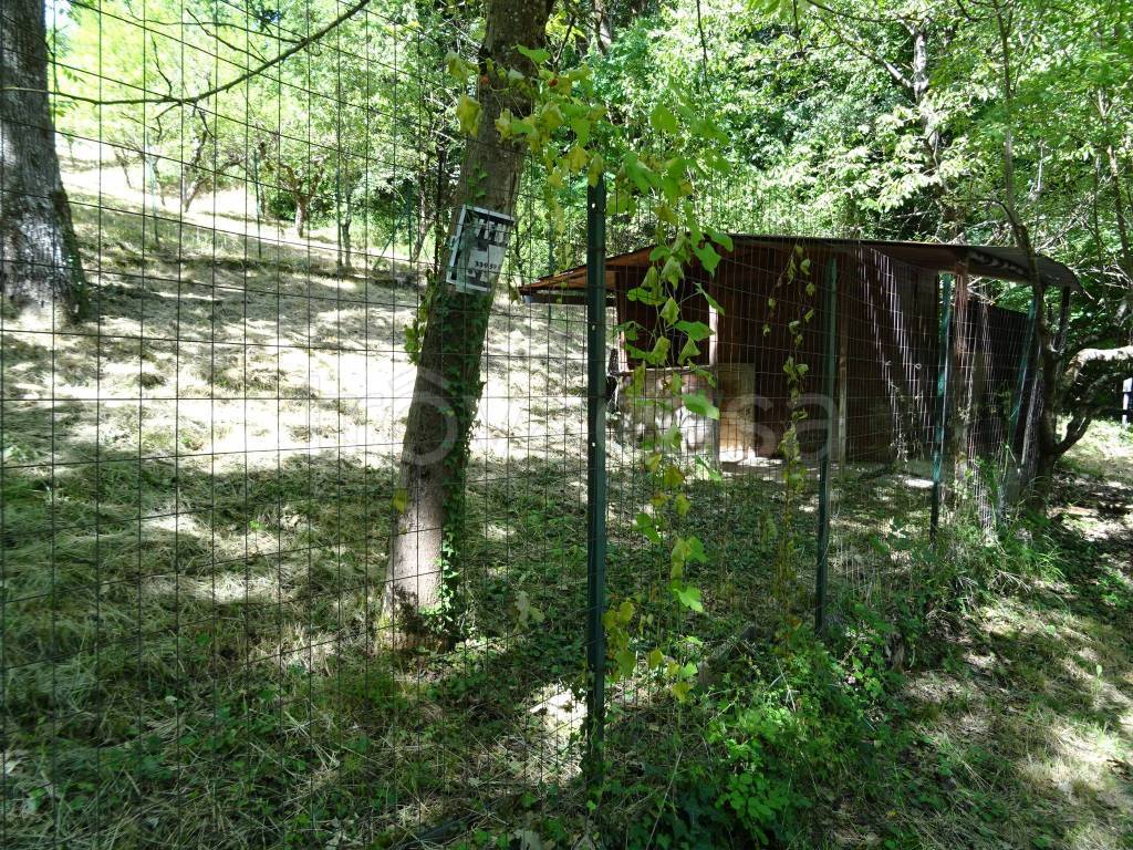 immagine annuncio 6 di 12