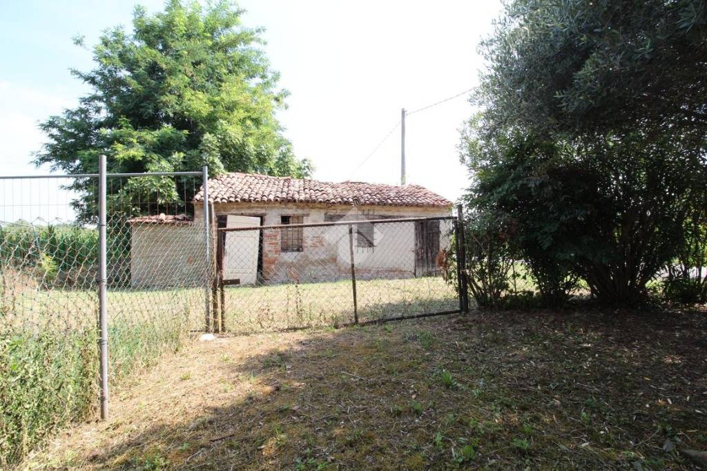 immagine annuncio 5 di 11