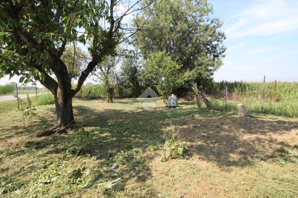 immagine annuncio 6 di 11