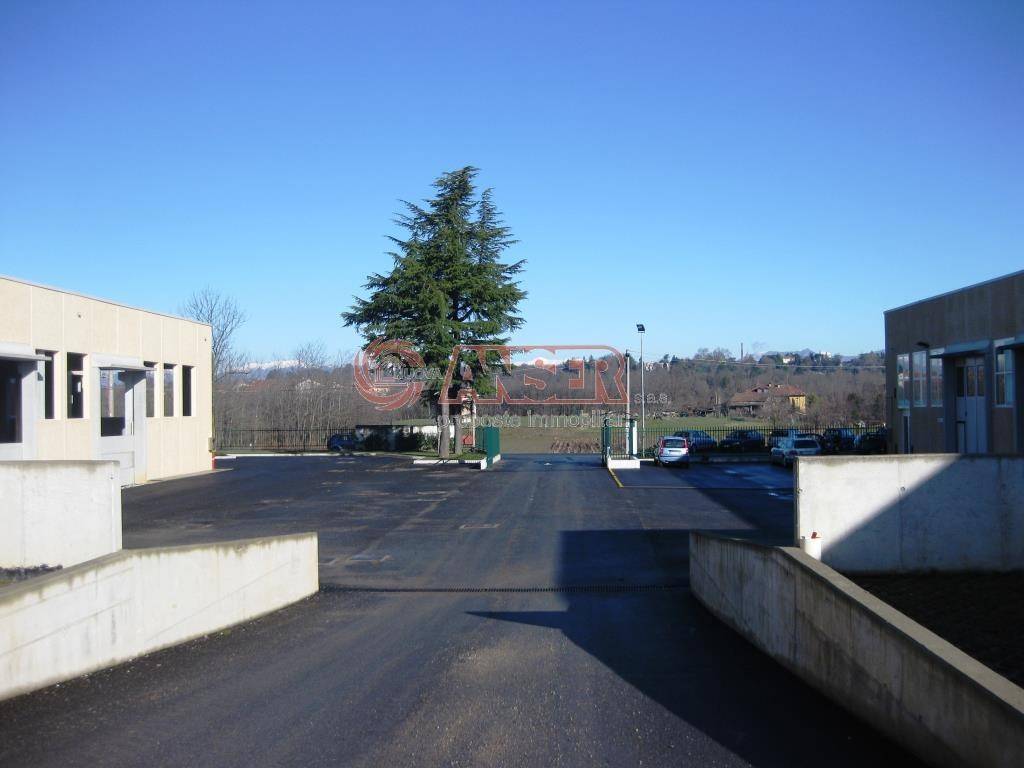 immagine annuncio 8 di 13