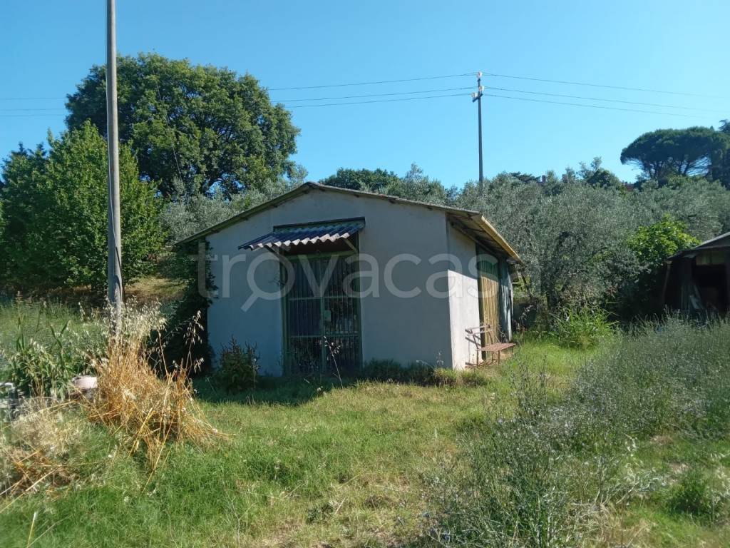immagine annuncio 1 di 14
