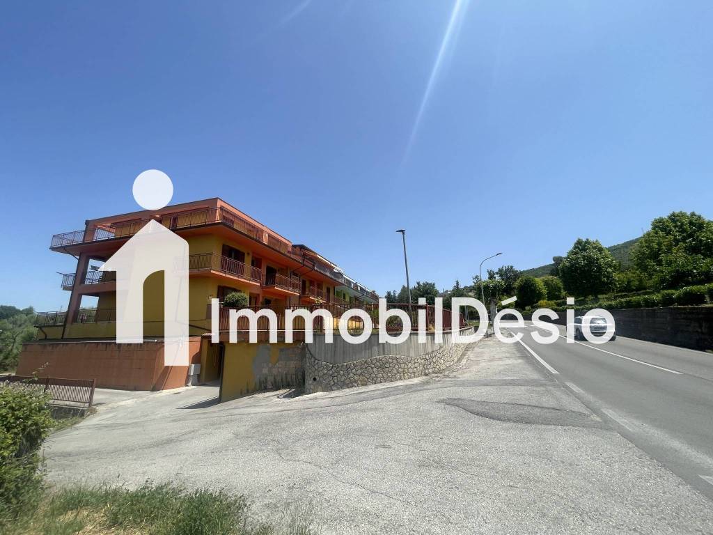 immagine annuncio 4 di 14