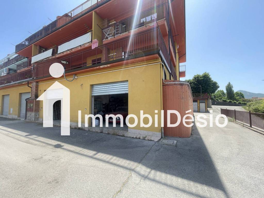 immagine annuncio 6 di 14