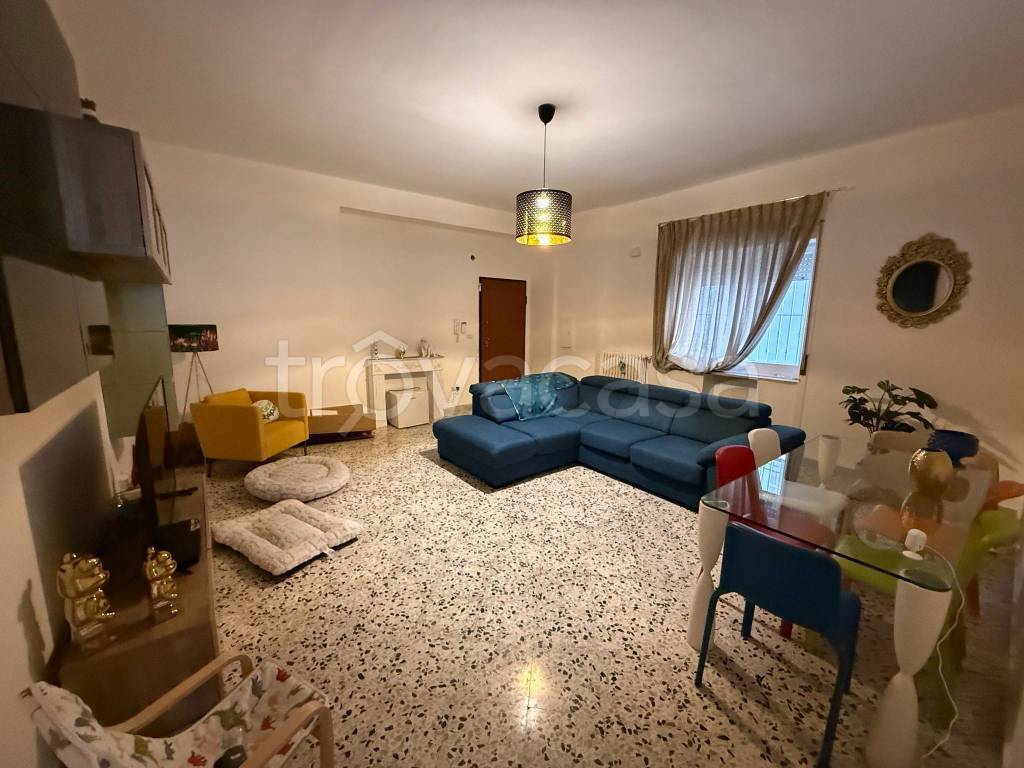 immagine annuncio 9 di 13