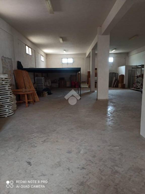 immagine annuncio 4 di 7