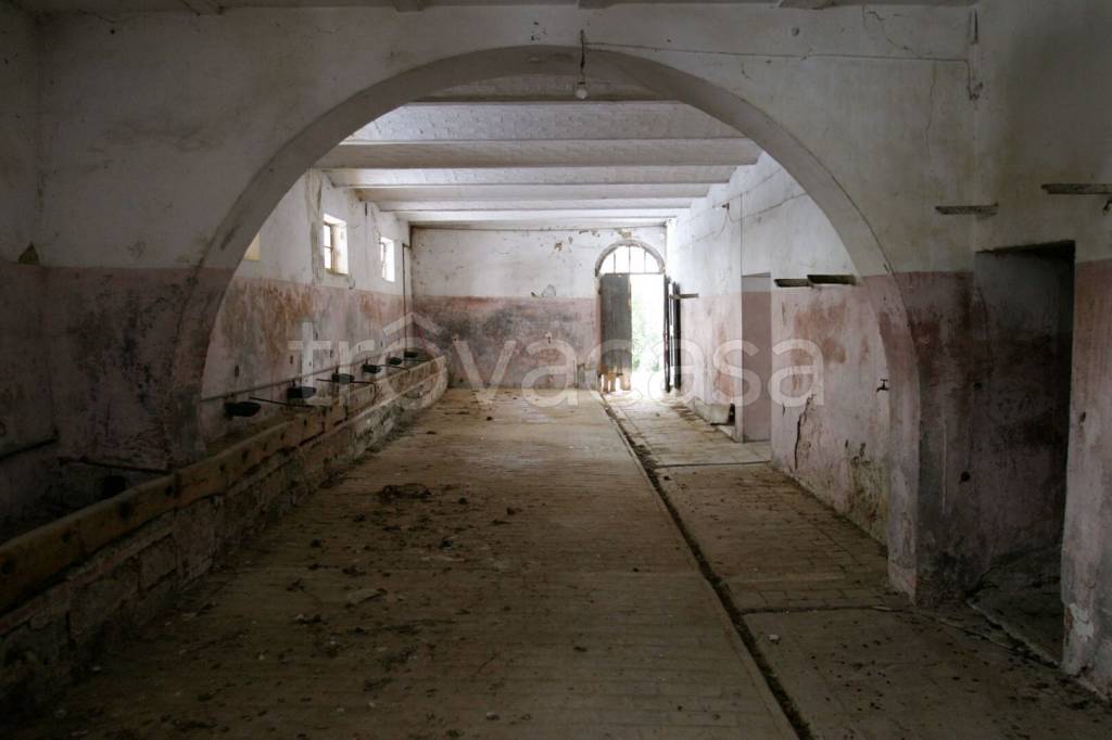 immagine annuncio 9 di 13