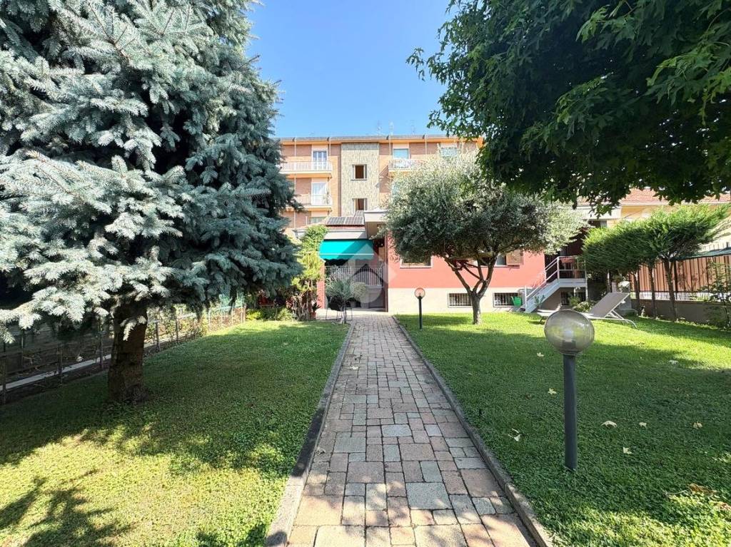 immagine annuncio 3 di 15