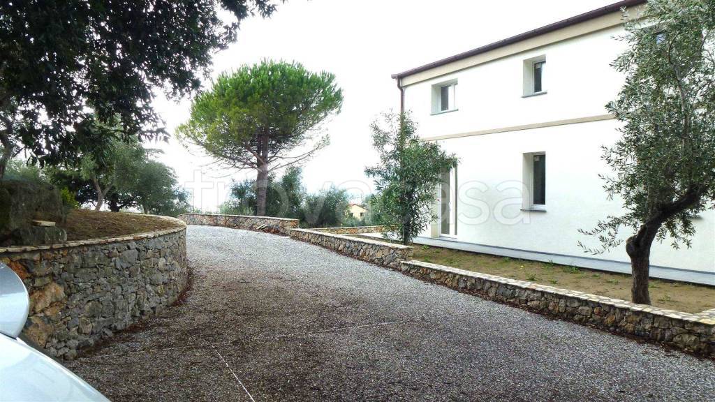 immagine annuncio 11 di 14