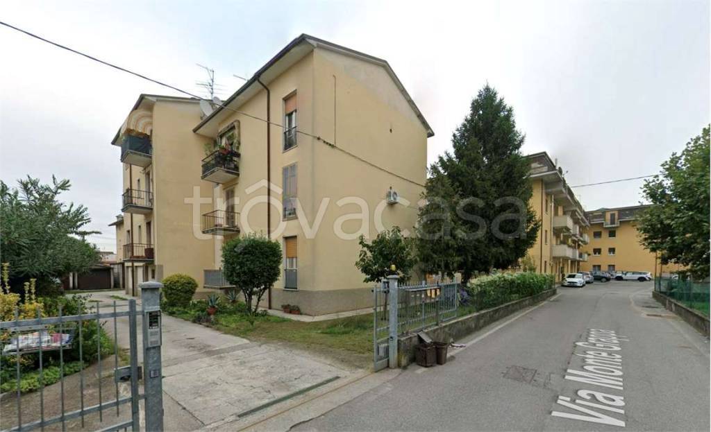 immagine annuncio 1 di 15