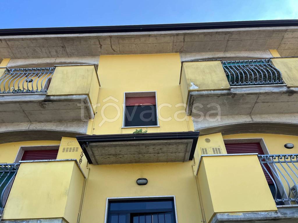 immagine annuncio 12 di 14