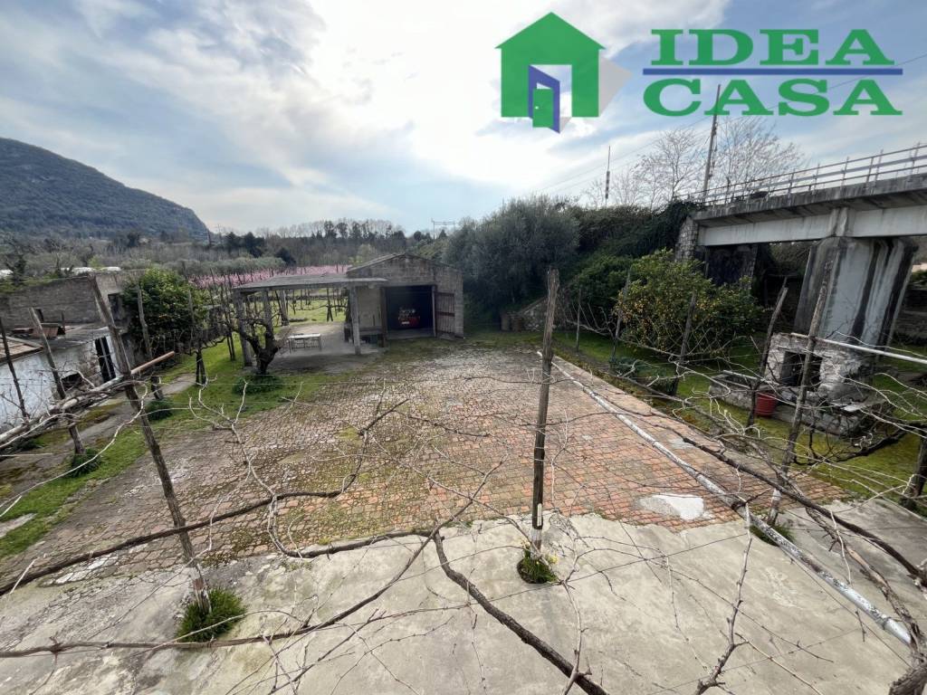 immagine annuncio 1 di 14