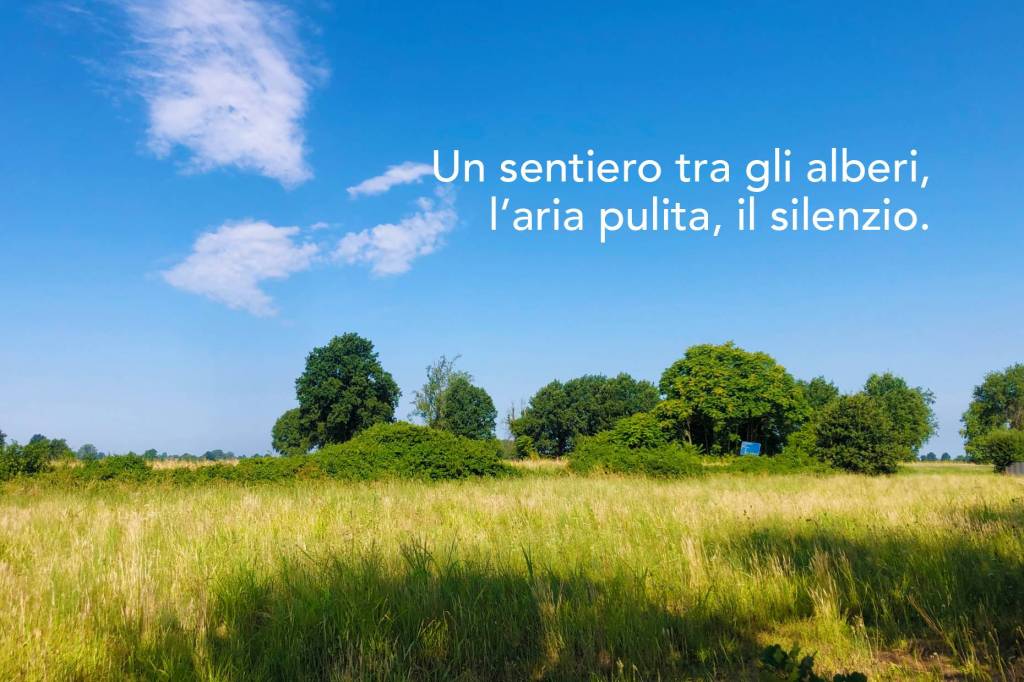 immagine annuncio 1 di 4