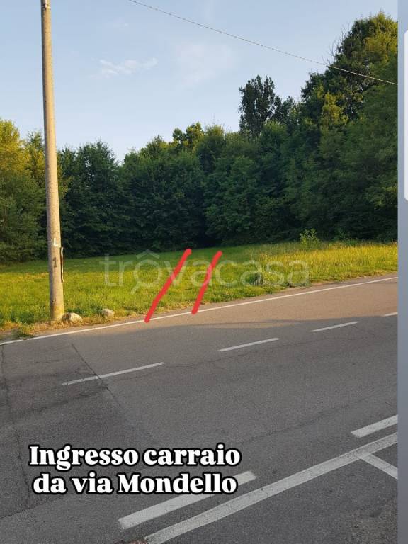 immagine annuncio 1 di 10