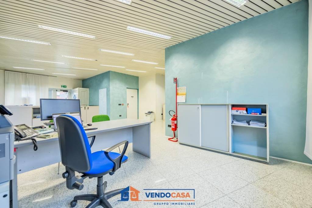 immagine annuncio 9 di 15