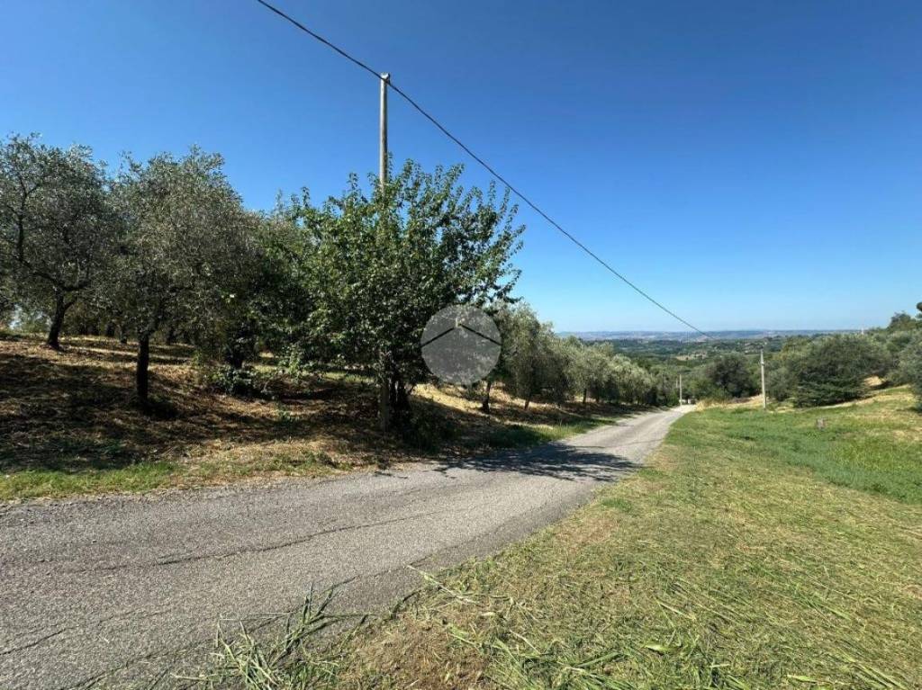 immagine annuncio 10 di 12