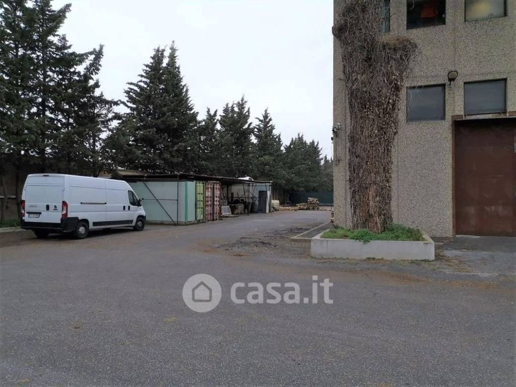 immagine annuncio 1 di 9