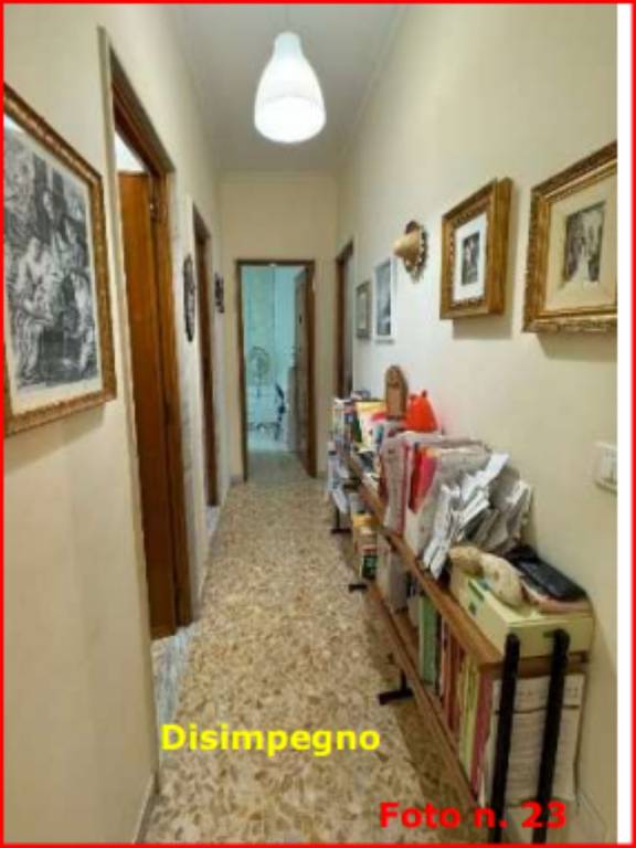 immagine annuncio 7 di 14