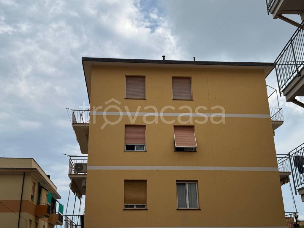 immagine annuncio 4 di 12