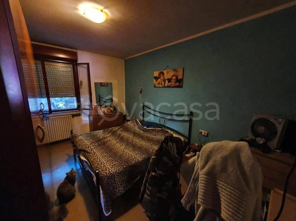 immagine annuncio 3 di 13