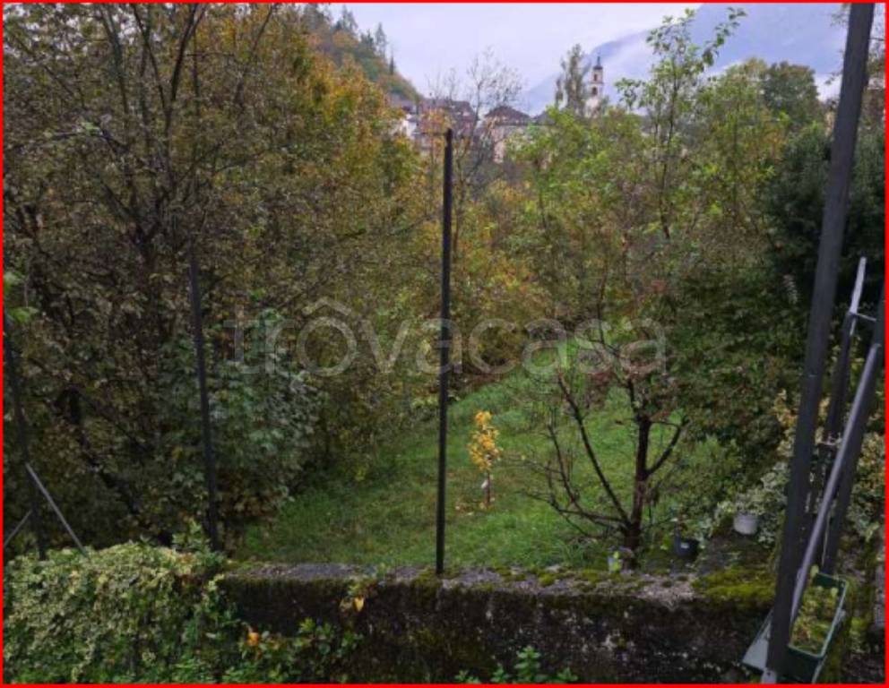 immagine annuncio 12 di 13