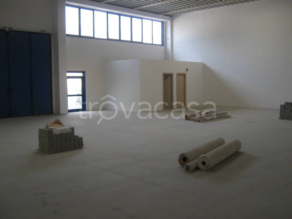 immagine annuncio 1 di 2