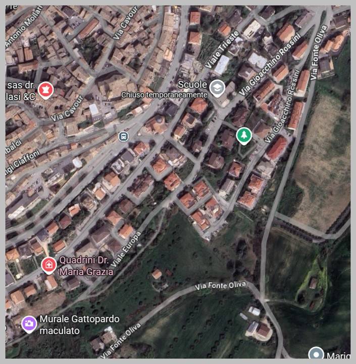 immagine annuncio 11 di 15