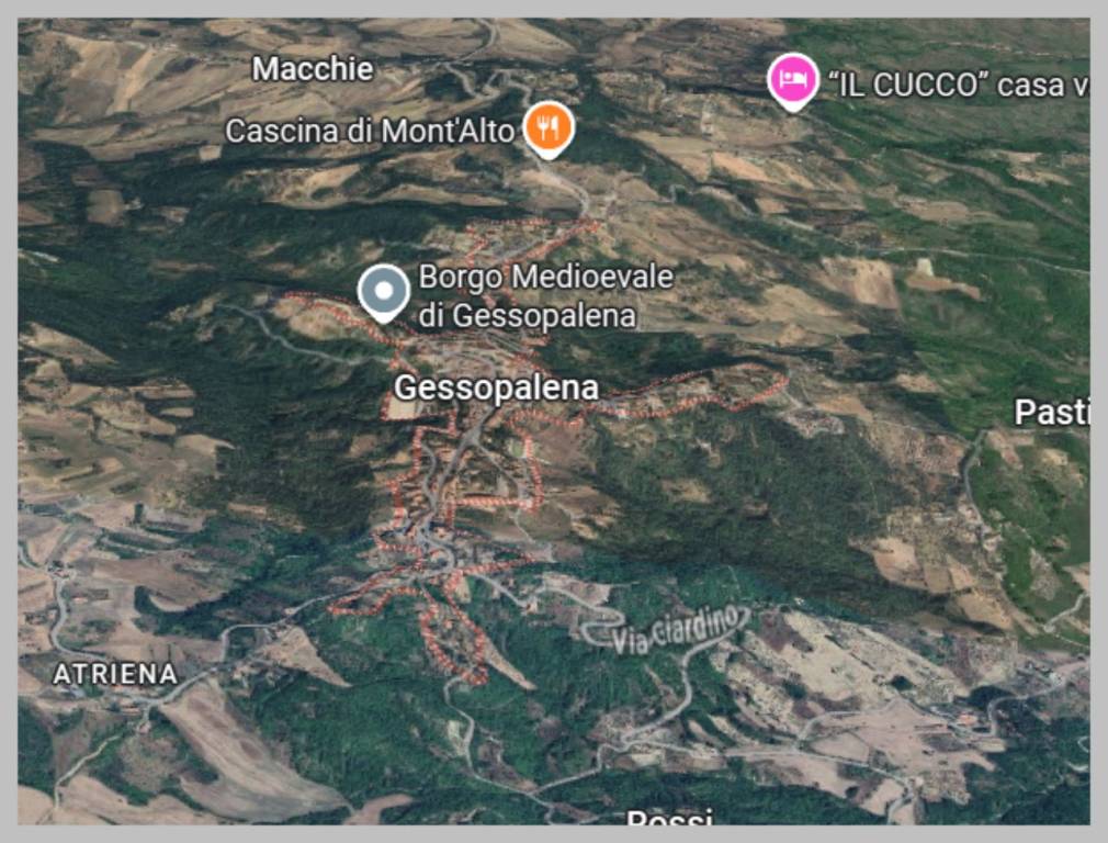 immagine annuncio 10 di 15